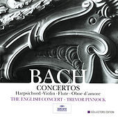 Thumbnail for the David Reichenberg - 2. Larghetto link, provided by host site