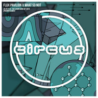 Thumbnail for the Flux Pavilion - 20:25 link, provided by host site