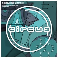 Thumbnail for the Flux Pavilion - 20: 25 [Phonon Remix] link, provided by host site