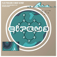 Thumbnail for the Flux Pavilion - 20:25 (ReauBeau Remix) link, provided by host site
