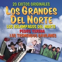 Thumbnail for the Los Relámpagos del Norte - 20 Éxitos Originales: Los Grandes del Norte link, provided by host site