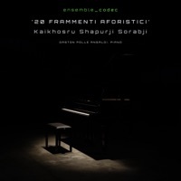 Thumbnail for the ensemble Codec - 20 Frammenti Aforistici (1962-1963) [Live in Studio] link, provided by host site
