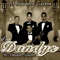 Thumbnail for the Los Dandy's - 20 Grandes Exitos link, provided by host site