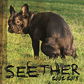 Thumbnail for the Seether - 2002 - 2013 link, provided by host site