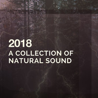 Thumbnail for the f(x) - 2018 A Collection of Natural Sound link, provided by host site