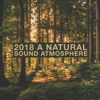 Thumbnail for the f(x) - 2018 A Natural Sound Atmosphere link, provided by host site