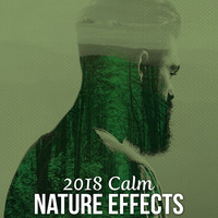 Thumbnail for the f(x) - 2018 Calm Nature Effects link, provided by host site