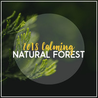 Thumbnail for the f(x) - 2018 Calming Natural Forest link, provided by host site