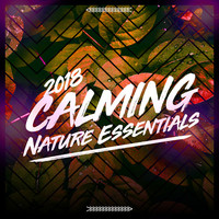 Image of Natural Sounds linking to their artist page due to link from them being at the top of the main table on this page