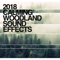 Thumbnail for the f(x) - 2018 Calming Woodland Sound Effects link, provided by host site