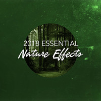 Thumbnail for the f(x) - 2018 Essential Nature Effects link, provided by host site
