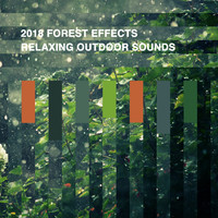 Thumbnail for the f(x) - 2018 Forest Effects: Relaxing Outdoor Sounds link, provided by host site