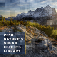 Thumbnail for the f(x) - 2018 Nature's Sound Effects Library link, provided by host site