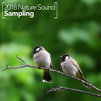 Thumbnail for the f(x) - 2018 Nature Sound Sampling link, provided by host site