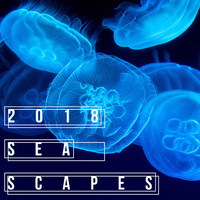 Image of Waterscapes linking to their artist page due to link from them being at the top of the main table on this page