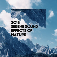 Thumbnail for the f(x) - 2018 Serene Sound Effects of Nature link, provided by host site