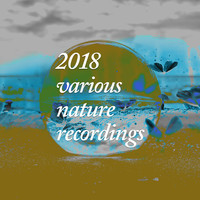 Thumbnail for the f(x) - 2018 Various Nature Recordings link, provided by host site