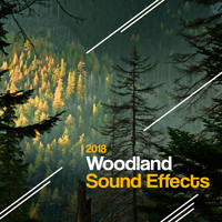 Thumbnail for the f(x) - 2018: Woodland Sound Effects link, provided by host site