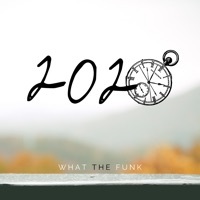 Thumbnail for the What The Funk - 2020 link, provided by host site