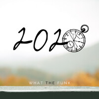 Thumbnail for the What The Funk - 2020 link, provided by host site