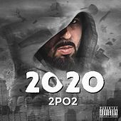 Thumbnail for the 2po2 - 2020 link, provided by host site