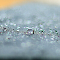Thumbnail for the Asian Zen Meditation - 2022 Sounds of Natural Meditation Music link, provided by host site