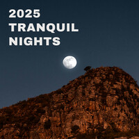 Thumbnail for the Johann Sebastian Bach - 2025 Tranquil Nights link, provided by host site