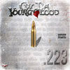Thumbnail for the CW Da Youngblood - .223 link, provided by host site