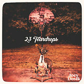 Thumbnail for the Joey Dosik - 23 Teardrops link, provided by host site