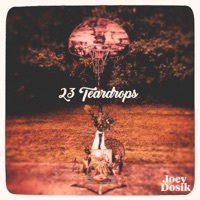 Thumbnail for the Joey Dosik - 23 Teardrops link, provided by host site