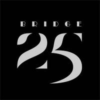 Thumbnail for the The Bridge - 25 link, provided by host site
