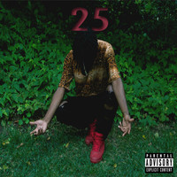 Thumbnail for the Jay Soul - 25 link, provided by host site