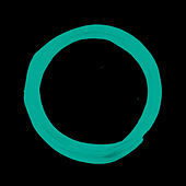 Thumbnail for the The Forrest - 25 link, provided by host site