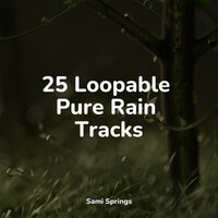 Thumbnail for the Regen - 25 Loopable Pure Rain Tracks link, provided by host site