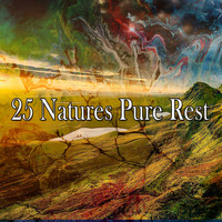 Thumbnail for the Sound Library XL - 25 Natures Pure Rest link, provided by host site