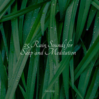 Thumbnail for the Fresh Water Sounds For Inner Peace - 25 Rain Sounds for Sleep and Meditation link, provided by host site