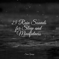 Thumbnail for the Sleep Music System - 25 Soothing Autumn Rain Recordings link, provided by host site