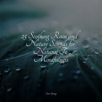 Thumbnail for the Serenity Spa Music Relaxation - 25 Soothing Rain and Nature Sounds for Natural To Mindfulness link, provided by host site