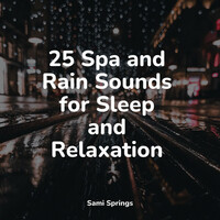 Thumbnail for the Study Music - 25 Spa and Rain Sounds for Sleep and Relaxation link, provided by host site