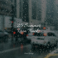 Thumbnail for the Massage - 25 Summer Rain Tracks link, provided by host site