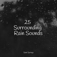 Thumbnail for the Oasis de Détente et Relaxation - 25 Surrounding Rain Sounds link, provided by host site