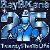 Thumbnail for the Bay B Kane - 25 To Life link, provided by host site