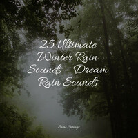 Thumbnail for the Sleep Sound Library - 25 Ultimate Winter Rain Sounds - Dream Rain Sounds link, provided by host site