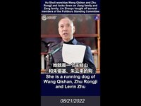 Thumbnail for the Miles Guo - 文贵直播：胡舒立崇拜王岐山和朱镕基，看不上江家和曾家，她还帮王岐山打击其对手并趁机捞钱；刘振亚搞定了好几个常委 link, provided by host site