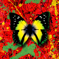 Thumbnail for the Ed Sheeran - 2step link, provided by host site