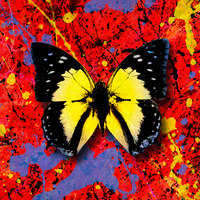 Thumbnail for the Ed Sheeran - 2step link, provided by host site