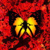 Thumbnail for the Ed Sheeran - 2step link, provided by host site