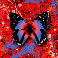 Thumbnail for the Ed Sheeran - 2step link, provided by host site