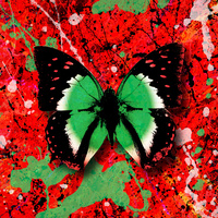 Thumbnail for the Ed Sheeran - 2step link, provided by host site