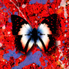 Thumbnail for the Ed Sheeran - 2step link, provided by host site